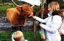 Highlands, Glencoe and Glenfinnan Viaduct Private Tour 