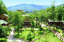 Daily Sapanca & Maşukiye & Mahmudiye Tour with Lunch from Istanbul