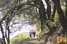 Benog Tibba Day Hike - Mussoorie 