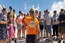 Bonaire Essentials Island Tour
