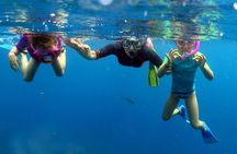 Fantastic Catalina island, beach and depth