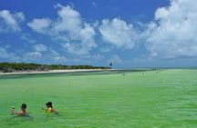 Sandbar Excursion in Key West