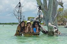 Key West Sandbar Excursion & Island Adventure Cruise