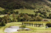 Mount Tamborine Winery Tour with Gourmet lunch