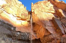 Zion Half-Day Guided Hike | Small-Group Tour