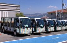 Daily Princes' Islands Tour with Lunch from Istanbul