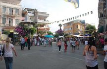 Daily Princes' Islands Tour with Lunch from Istanbul