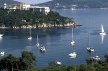 Daily Princes' Islands Tour with Lunch from Istanbul