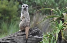 The Private Wildlife Tour