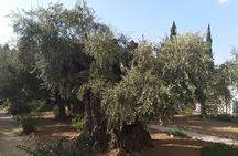 Mt of Olives from the Chapel of the Ascension to Gethsemane for individuals