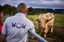Full-Day Tour of Scotland from Invergordon