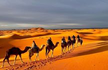  Overnight Sahara Tours luxury camp 