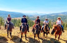 Jackson Hole Horseback Riding