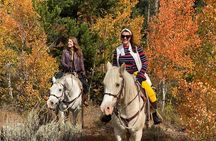 Jackson Hole Horseback Riding
