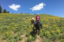 Jackson Hole Horseback Riding