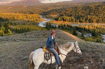 Jackson Hole Horseback Riding