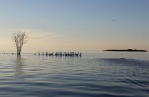 West Islands & Eagle Bluff Lighthouse Cruise