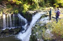 Niagara Falls with Maple & Wine from Toronto. Local Experience