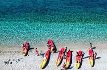 Kayak day in the coastline