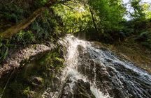 Spend your 1 day inside of Mountain and Forests at Gabala