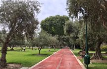 Downtown Lima Historic Guided City Tour