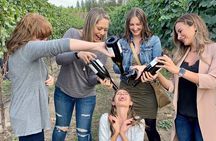 Wine Tour Experience In Lake Country 5 Wineries