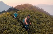 Knuckles Mountain Range Hiking and Trekking Day Tour From Kandy Hotels