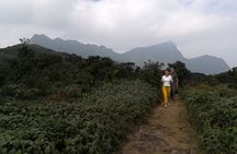 Knuckles Mountain Range Hiking and Trekking Day Tour From Kandy Hotels