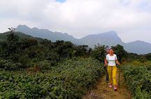 Knuckles Mountain Range Hiking and Trekking Day Tour From Kandy Hotels