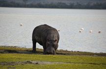 3-Day Private Tour of Tanzania with Pick Up