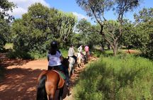 Horseback Safari Adventure in Hartbeespoort from Johannesburg