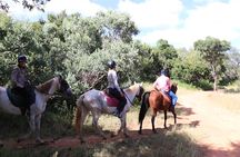 Horseback Safari Adventure in Hartbeespoort from Johannesburg