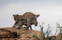 4-Day Tour in Lake Nakuru, Lake Naivash, Masai Mara from Nairobi