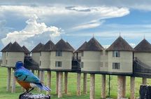 2 Days Private Tour in Tsavo East and Taita Hills / Saltlick Safari