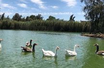  Africano Park Alexandria Safari From Cairo