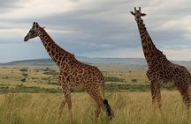 Private Tsavo East Tour