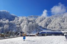 Gabala Private Tour