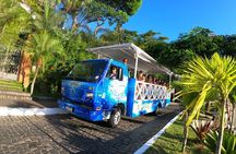  Buzios Trolley City Tour