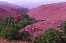 Guided Day Tour in Tassaout Valley