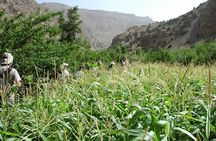 Guided Day Tour in Tassaout Valley
