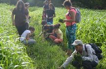 Guided Day Tour in Tassaout Valley