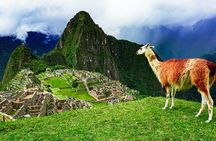 1 Day Inca Trail Tour to Machu Picchu Hike