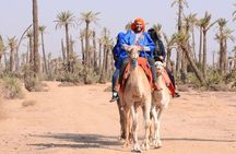 Camel ride in the palm grove of Marrakech