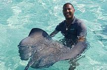 Half-Day Private Stingray City Charter in Cayman Islands
