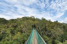 Visit Ixpanpajul: Jungle, Trekking, Hanging Bridges & Canopy - Tour from Flores