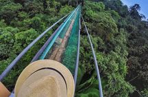 Visit Ixpanpajul: Jungle, Trekking, Hanging Bridges & Canopy - Tour from Flores
