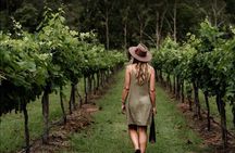 Mount Tamborine Winery Tour with Gourmet lunch