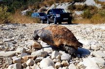 Northwest Corfu 4x4 Coastal Dreams & Village Charms Experience
