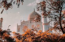 Private Same Day Tour To Taj Mahal From Delhi By Car