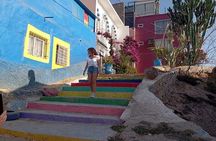 Experience the sandboarding and painted village half day